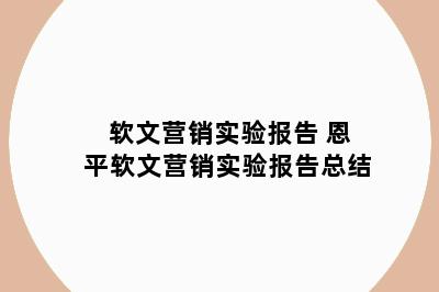 软文营销实验报告 恩平软文营销实验报告总结